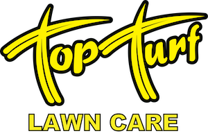 All programs services top turf